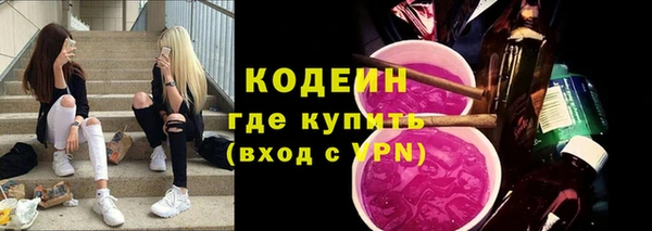 крисы Надым