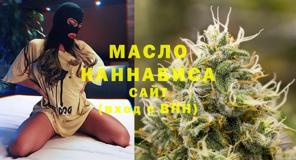 крисы Надым