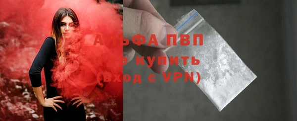 крисы Надым