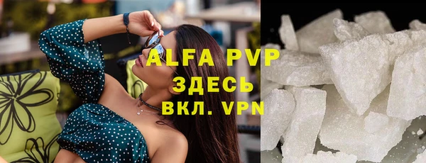 крисы Надым